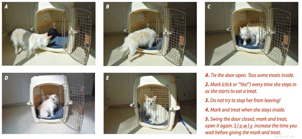 The Complete Guide to Dog Crates: Benefits, Best Practices & Common Misconceptions