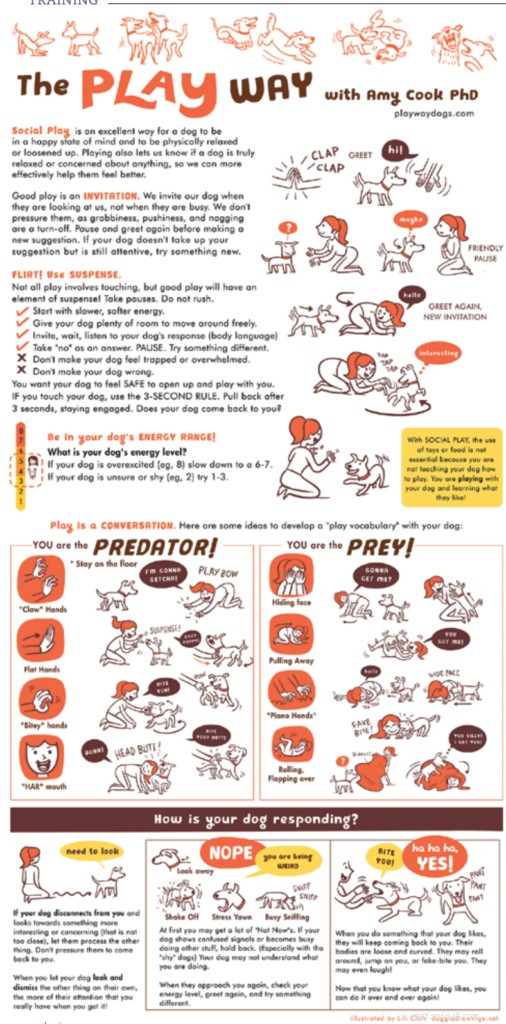 Effective Play Techniques for Shy and Fearful Dogs