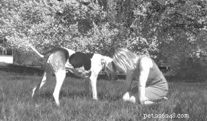 Effective Play Techniques for Shy and Fearful Dogs