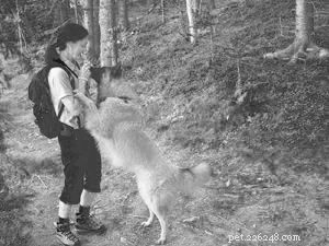 Effective Play Techniques for Shy and Fearful Dogs