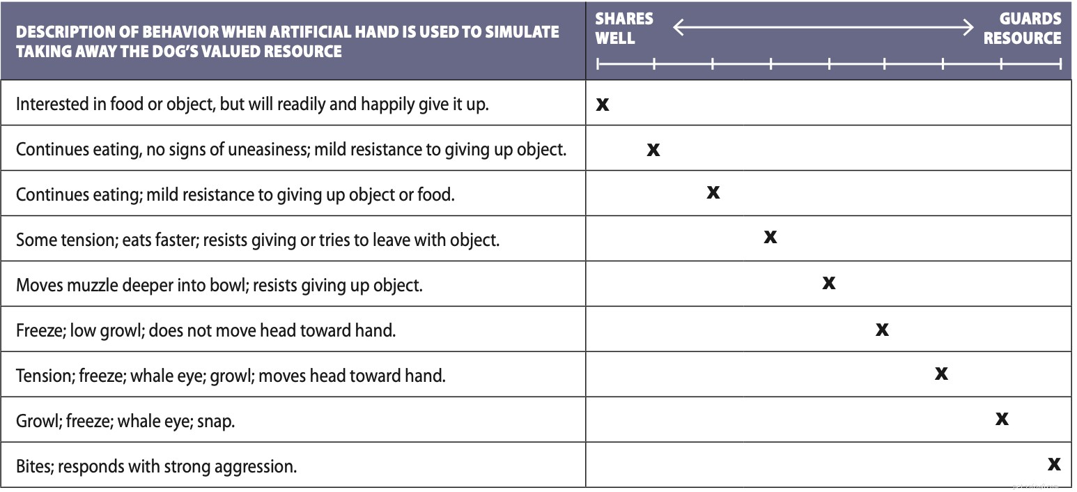 Understanding Resource Guarding in Dogs: Causes, Signs, and Safe Management