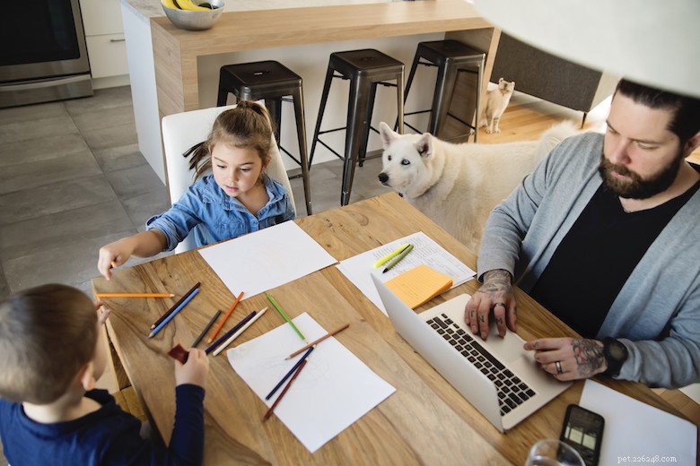 Stop the Canine Chaos: Proven Tips to Keep Your Dog Calm While You Work From Home