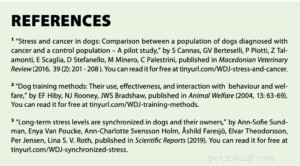 How Stress Impacts Humans, Dogs, and the Natural World