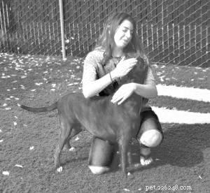 How to Prepare Your Family for a New Dog: A Step-by-Step Guide