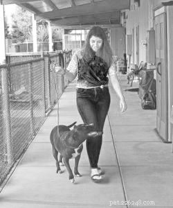 How to Prepare Your Family for a New Dog: A Step-by-Step Guide