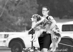 Safe & Gentle Dog Handling: The Proper Way to Pick Up Your Pet