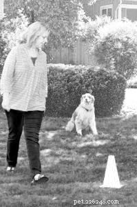 Keeping Your Dog Mentally Active When Mobility Is Limited