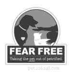 Cooperative Care: Empowering Your Dog with Choice & Control