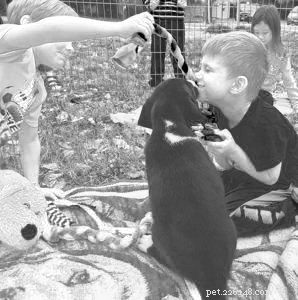 Protecting Your Puppy: Understanding Infection and Isolation Risks