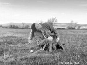 Mastering Reliable Dog Recall: Daily Practice for Safety & Trust