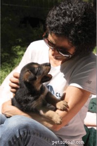How to Safely Pick Up a Puppy: Tips for Comfort & Confidence