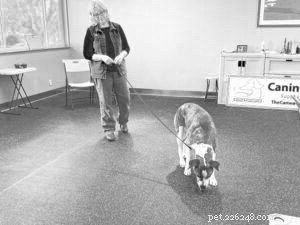 Understanding Why Dogs Growl at People – Causes & Solutions
