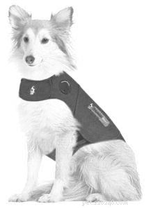 Understanding and Managing Severe Anxiety in Dogs