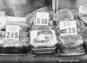 Does a Meat‑Based Diet Trigger Kidney Failure in Dogs?
