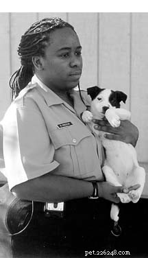 Spaying & Neutering: The Key to Reducing Cancer Risk and Saving Lives