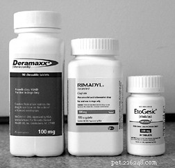 Safe Administration of Anti‑Inflammatory Medications for Your Dog