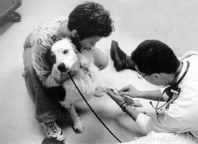 Why a Titer Test Matters Before Vaccinating Your Dog
