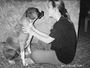 Wobenzym for Dogs: Trusted Digestive Enzyme Supplement for Arthritis & Cancer Relief