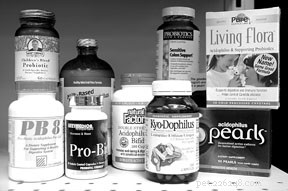 Probiotics: Enhancing Your Dog’s Health & Wellbeing