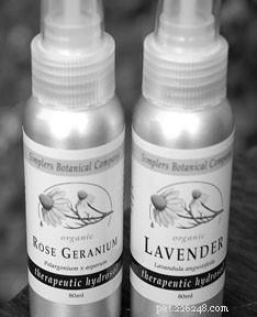 Professional Guide: Natural Remedies for Cleaning and Healing Dog Wounds