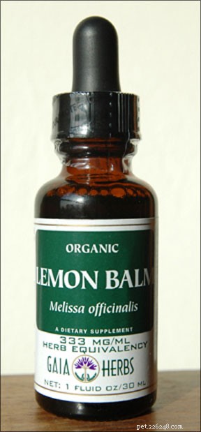 How to Use Lemon Balm Safely for Your Dog