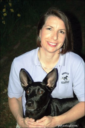 How Rehab Therapy Enhances Your Dog’s Health and Mobility