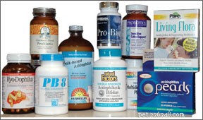 Boost Your Dog’s Health: The Ultimate Guide to Probiotics and Digestive Care