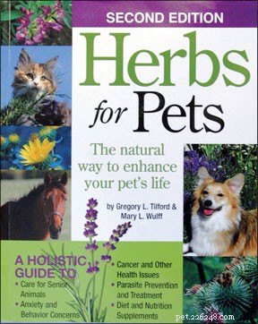 Boost Your Dog’s Health: The Ultimate Guide to Probiotics and Digestive Care