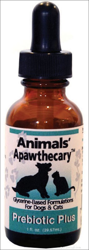 Boost Your Dog’s Health: The Ultimate Guide to Probiotics and Digestive Care