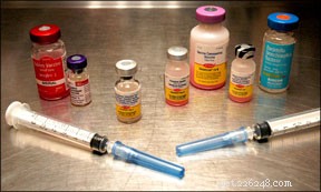 Comprehensive Guide to Essential Dog Vaccinations