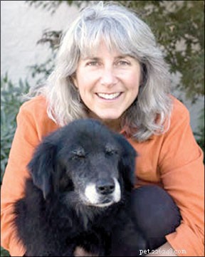 Finding Reliable Canine Health Resources Online