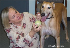 Essential Blood Transfusion Care for Dogs