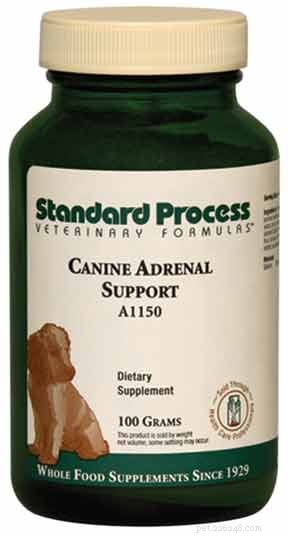 Comprehensive Holistic Care for Dogs with Addison’s Disease