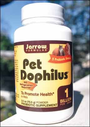 Boost Your Dog’s Gut Health with Prebiotics