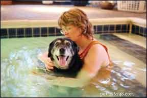 Hydrotherapy for Dogs: Benefits, Gear, and Emergency Health Exams