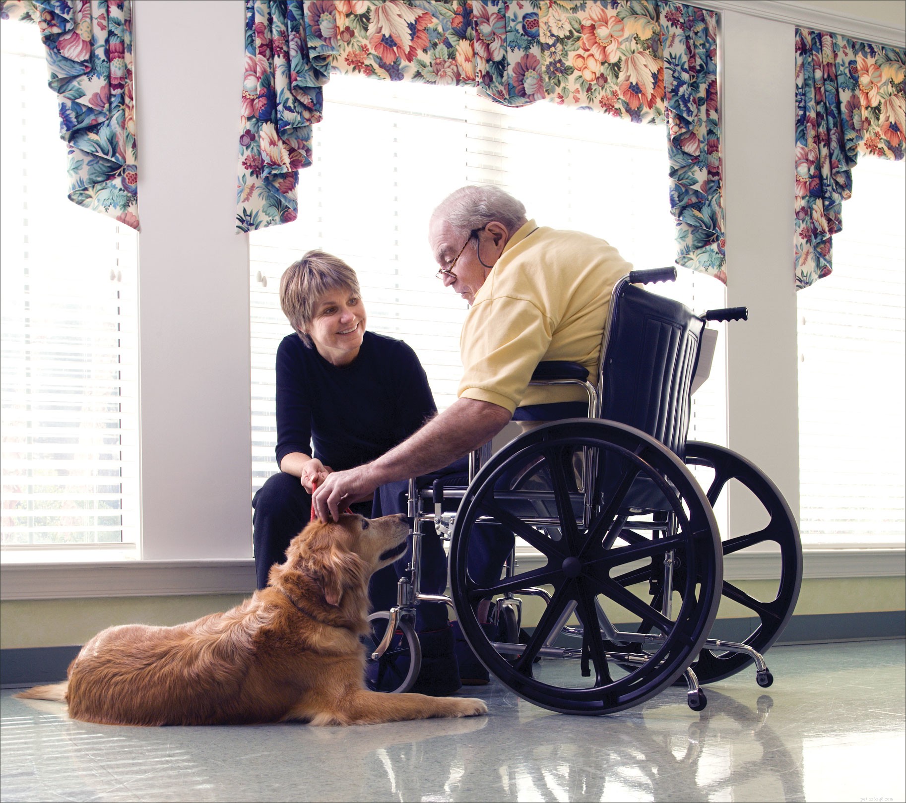 New Hospital Rule: Therapy Dogs Can t Eat Raw Food