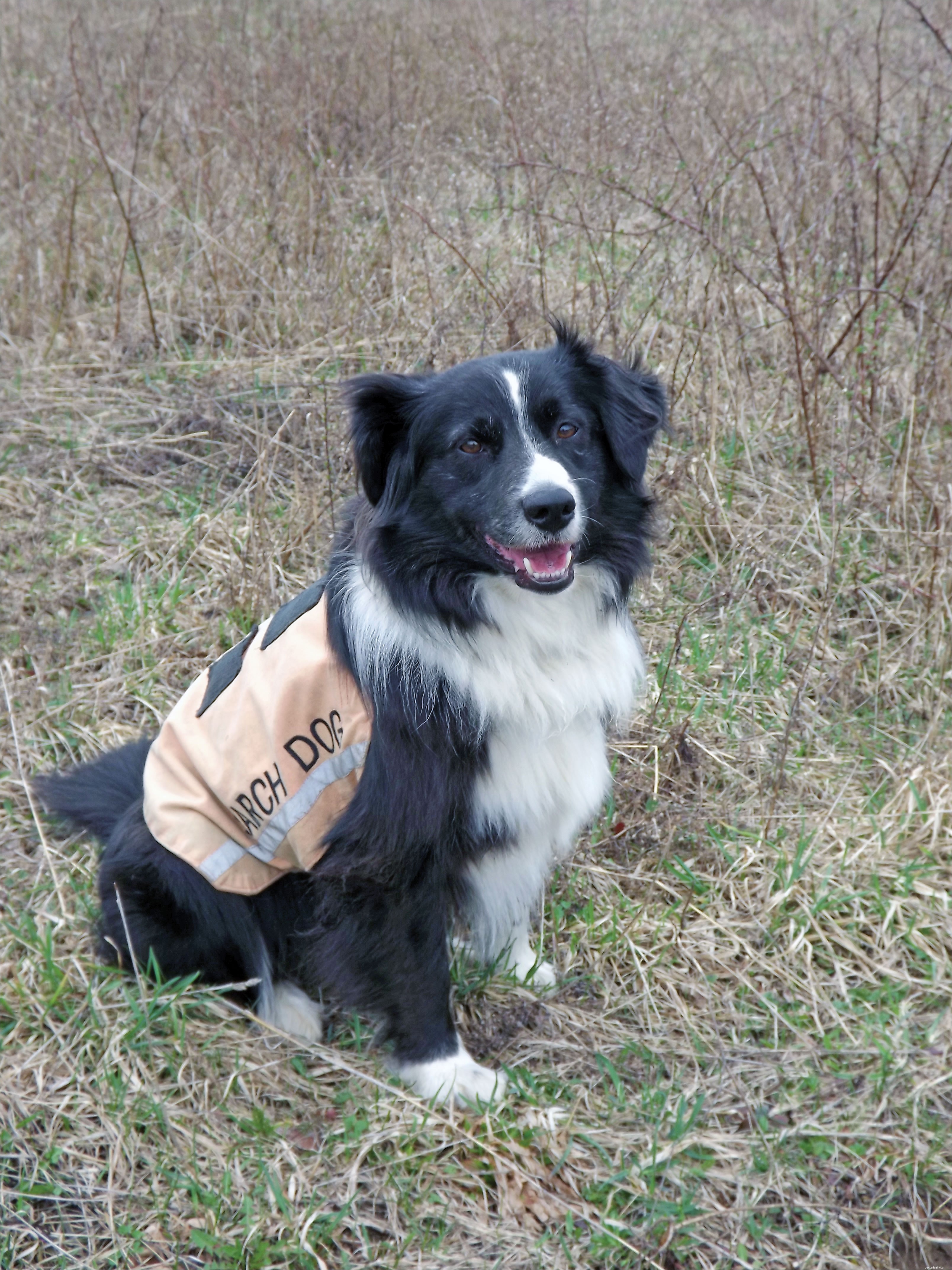 Doxycycline Shortage Forces Humans and Pets to Seek Alternative Treatments