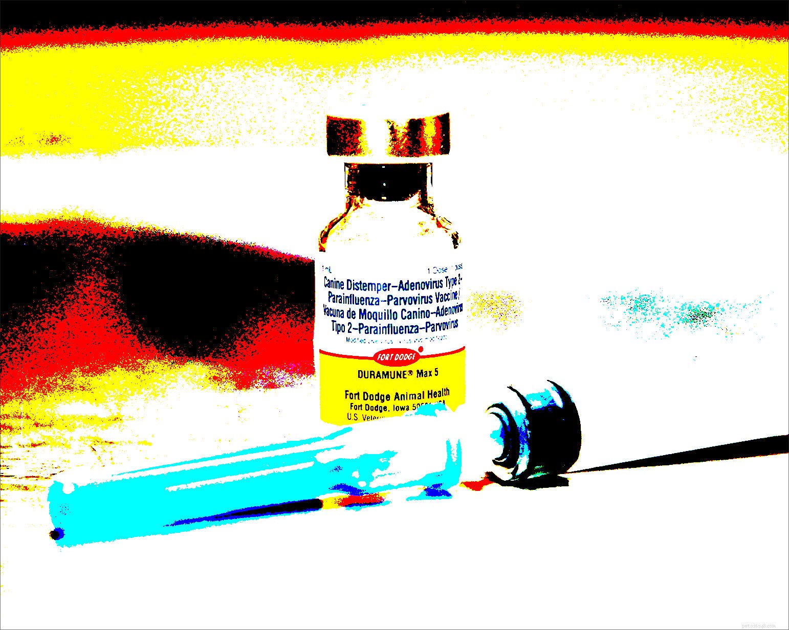 Is It Time to Vaccinate Your Dog? A Tailored Guide