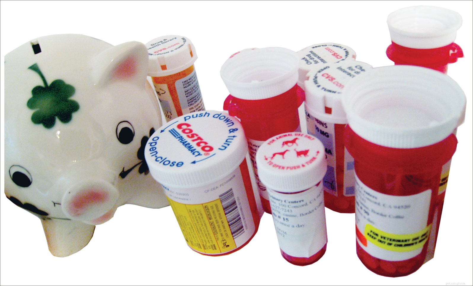 Why Dog Medications from Vets Are Expensive & How to Save