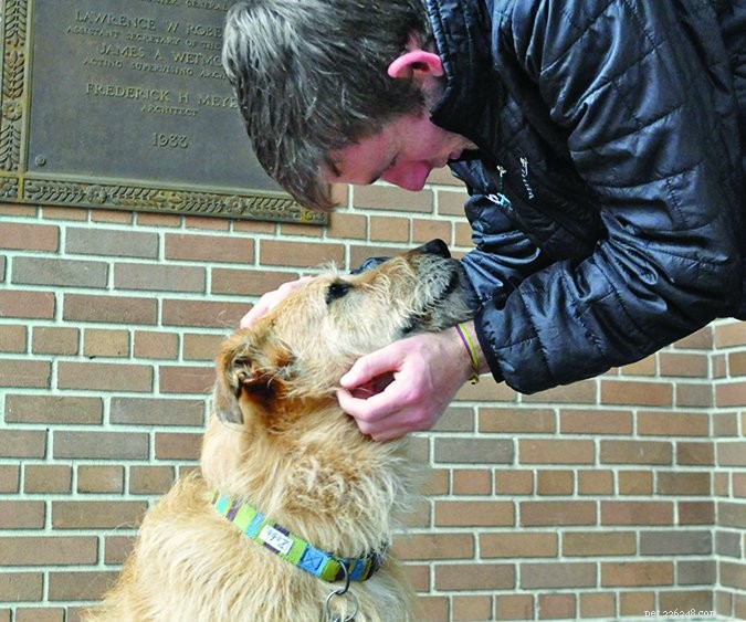 Safe Dog Examination: A Step-by-Step Guide