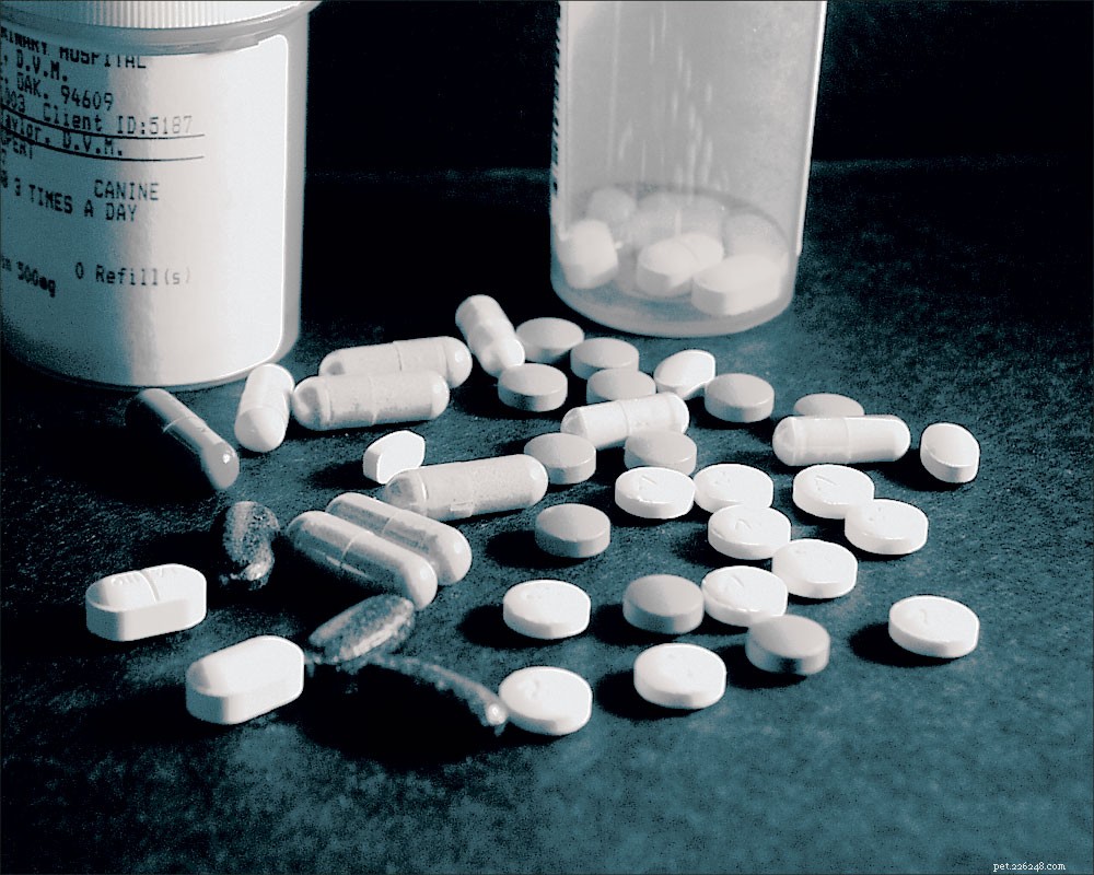 Prevent Fatal Veterinary Prescription Errors at Human Pharmacies