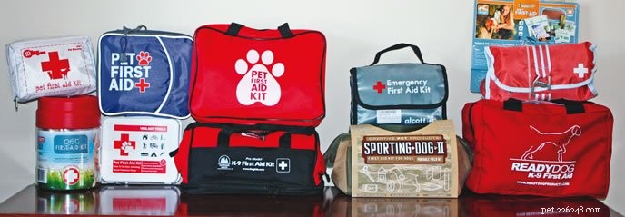 Dog First Aid Kit Checklist: Must-Have Items and What to Skip