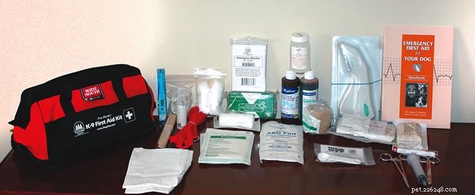 Dog First Aid Kit Checklist: Must-Have Items and What to Skip