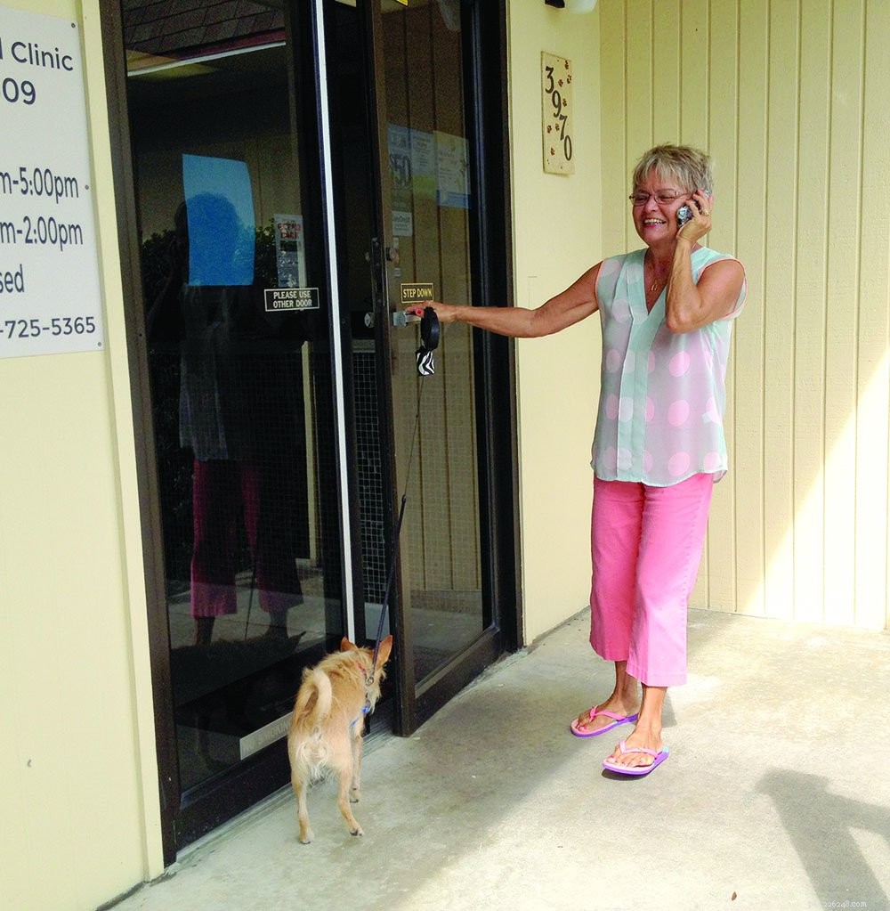 3 Simple Steps to a Stress‑Free Vet Visit for Your Dog & You