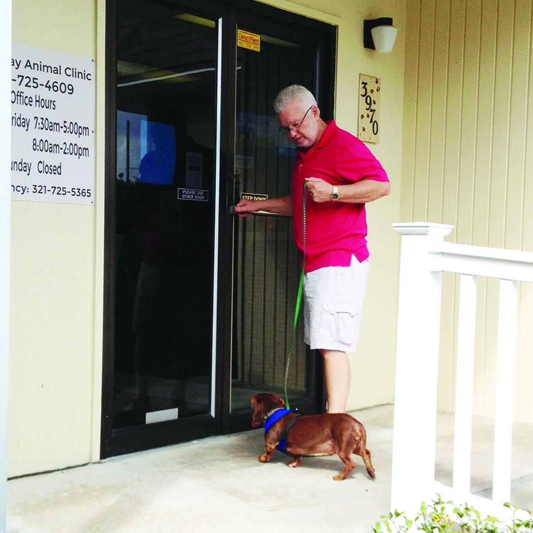 3 Simple Steps to a Stress‑Free Vet Visit for Your Dog & You