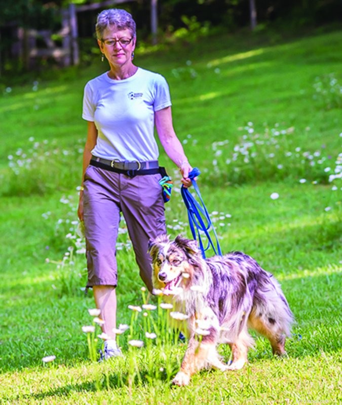 Be Your Dog s Champion: A Guide to Effective Advocacy