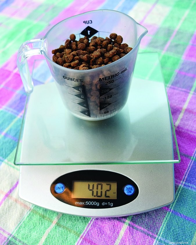 Top 10 Proven Weight‑Loss Strategies for Senior Dogs