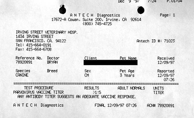 Comprehensive Guide to Canine Parvovirus: Symptoms, Prevention, and Treatment