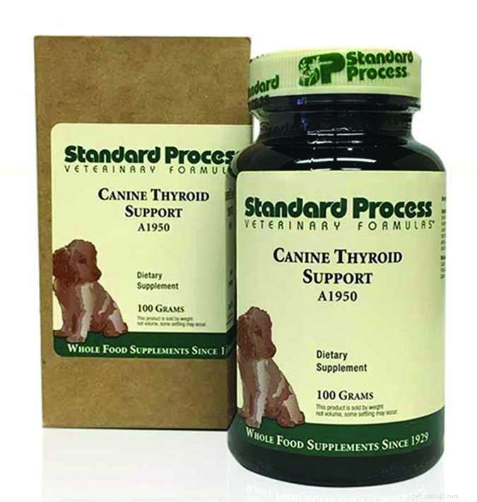 How to Treat Your Dog s Hypothyroidism: A Practical Guide
