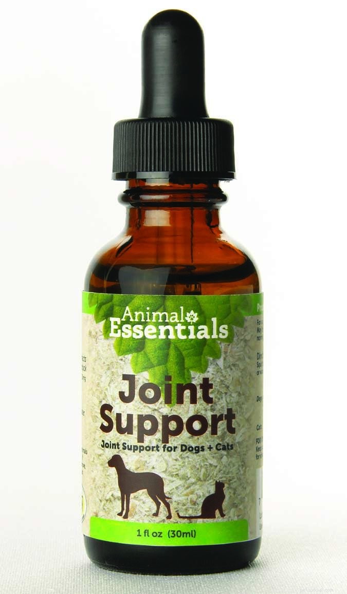 Natural Herbal Solutions to Relieve Your Dog s Arthritis Pain